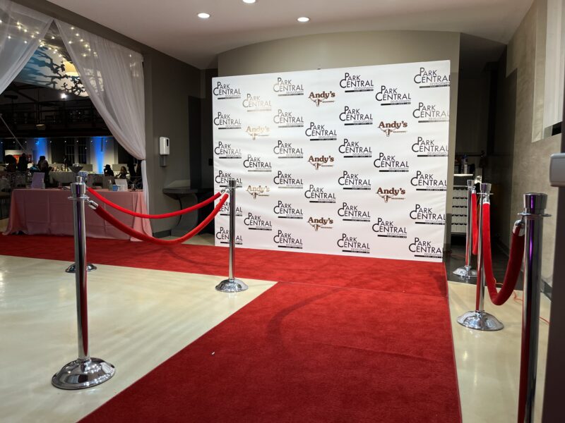 8x10 VINYL Backdrop Package - Image 5