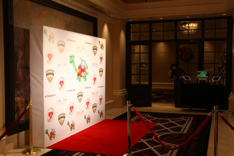 8x10 Paparazzi Photo Booth - Image 5