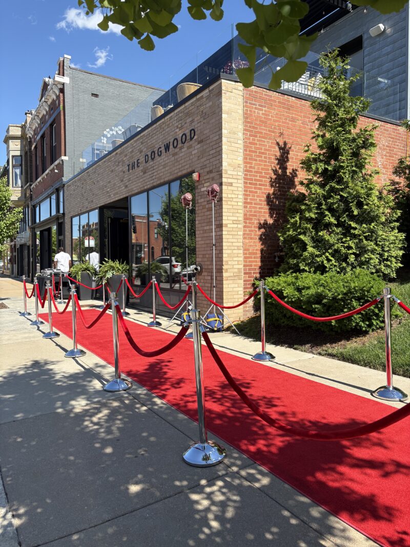 100ft Red Carpet Package - Image 6